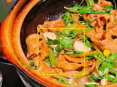 肥肠煲-煲煲好(朝阳门店)