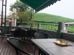 -听风阁农家私房菜茶楼(龙坞店)