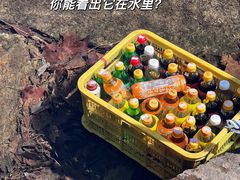 -无染寺