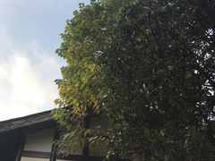 -见山书院