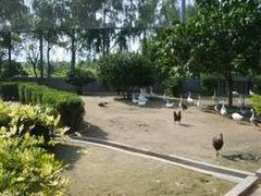 -森林公园(尖草坪区)