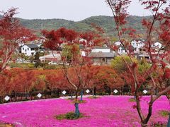 -石塘人家