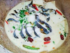 -云中鱼蒸汽石锅鱼(浦东食品城店)