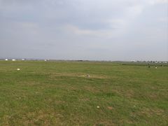 -敕勒川草原