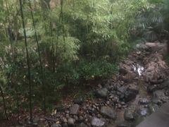 -西安国际创新人才交流中心•药浴温泉