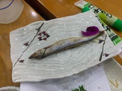 烤多春鱼单点-银子铁板烧料理自助餐(人民广场店)