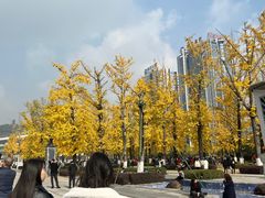 -百林公园-两江幸福广场