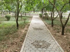 -山东大学(洪家楼校区)