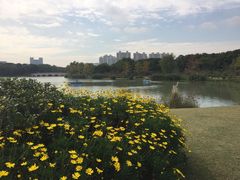 -昆山城市生态森林公园