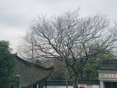 -上海佘山国家森林公园天马山园