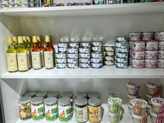 -青奢宠物·青奢猫舍