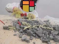 -斯坦星球青少儿编程机器人科学乐高思维专注力科创竞赛规划(武汉凯德西城学习中心)