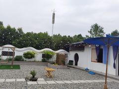 -桤木河湿地公园