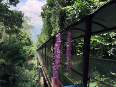 -七仙岭温泉国家森林公园