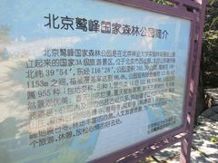 -北京鹫峰国家森林公园