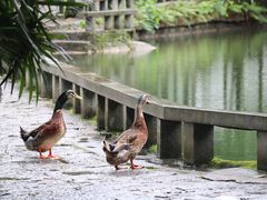 -姑婆山旅游区