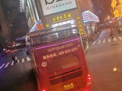 -BUS TOUR观光巴士