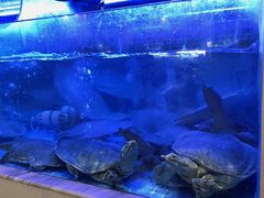 -王捌小院(红花坡店)