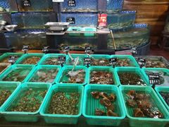 -浩运·海鲜青岛菜·海胆水饺(石老人店)