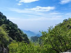 -泰山风景名胜区