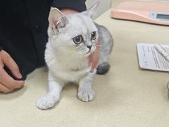 -艾贝尔宠物医院 ·内科全科(梁溪路店)