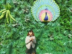 -白鹿原影视城
