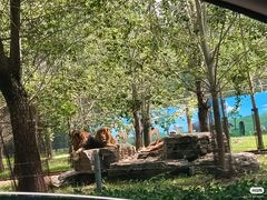 -秦皇岛野生动物园
