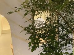 -奈诺甜品·生日蛋糕·下午茶(古城店)