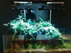 -中国建设银行(上海南京西路支行)