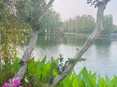 -四海公园(南山区)