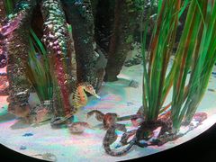 -沈阳海洋探索中心