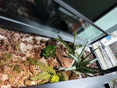 -潮发潮汕牛肉店(永庆坊店)
