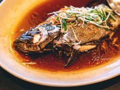 清蒸石斑鱼-丽晶轩中餐厅(重庆丽晶酒店)