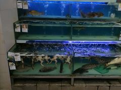 -盒马鲜生(大成店)