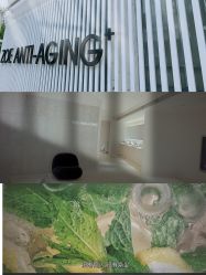 -紫御国际抗衰ZOE ANTI AGING