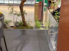 -大神太神·铁板烧(七宝领展广场店)