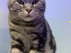 -平行世界·猫咖(首经贸店)