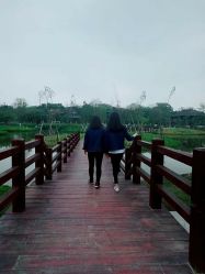 点击看大图 -云湖游乐园