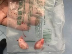 -伟伟宠物医院·CT影像中心·瑞派犬猫综合性门诊(汉口总院)