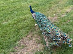 -鄂尔多斯野生动物园