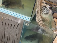 -大胡同天津菜·海肠捞饭·津门皮皮虾锅贴一绝(西姜井店)