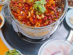 -重庆乌鱼庄·龙滋鲜(青羊大道店)
