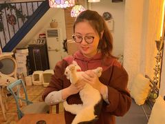 -Sirena海妖日咖夜酒