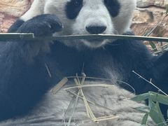 -石家庄市动物园