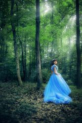 -费拉摄影(天廊T66店)