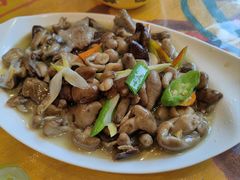 -四姑娘山阿巴郎·藏式花园餐厅