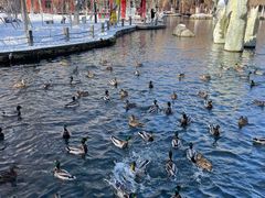 -水磨沟公园
