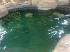 -威海天沐度假区温泉