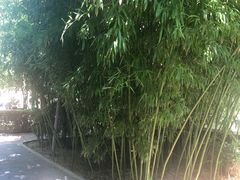 -北京第二实验小学