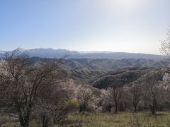 -中华福寿山
